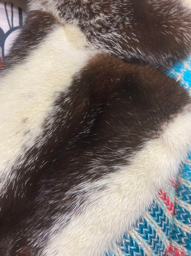 ミッソーニ ツイード ミンク コート