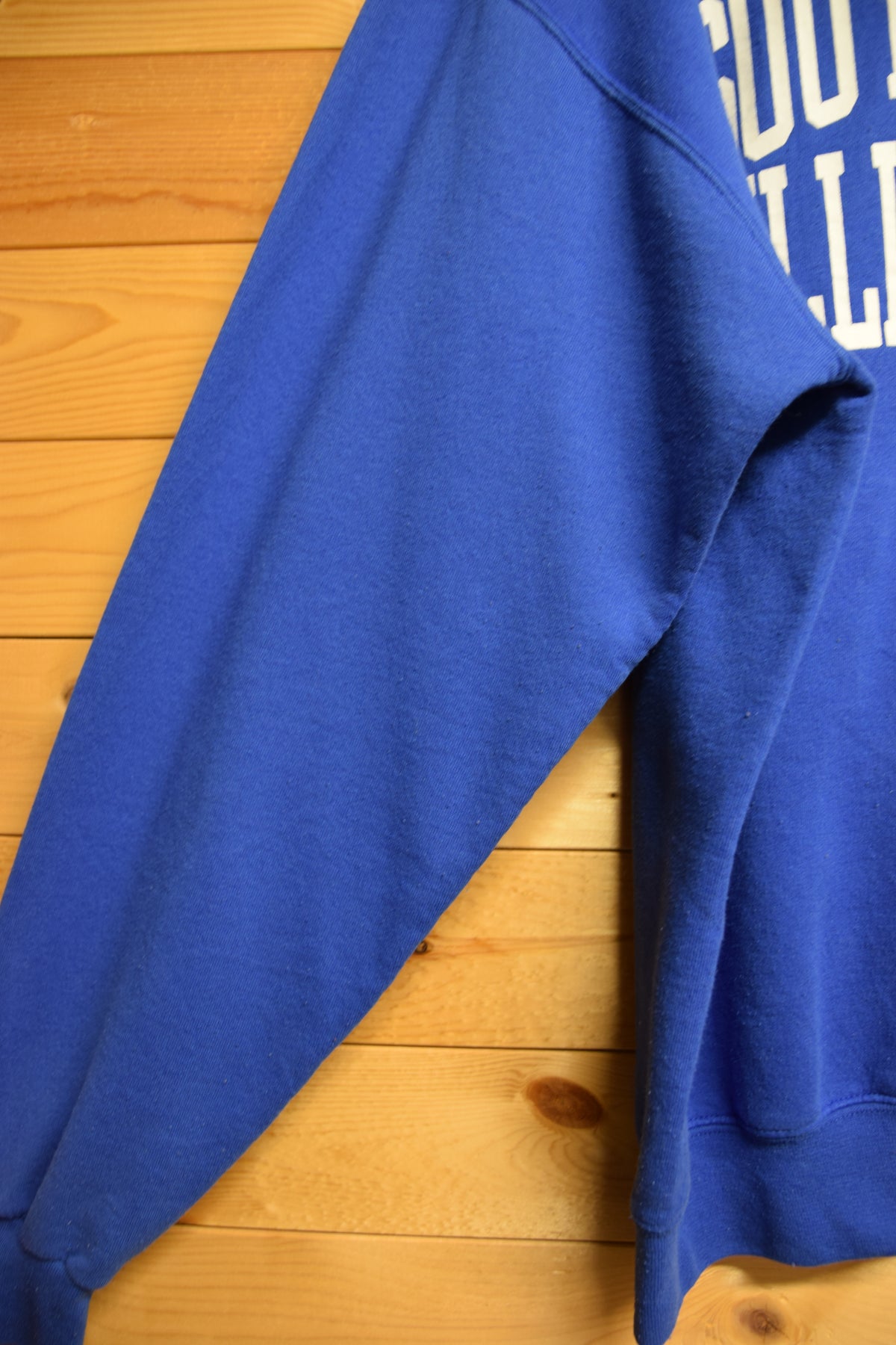メンズヴィンテージ スウェット 【Champion ECO】 カレッジロゴ ブルー