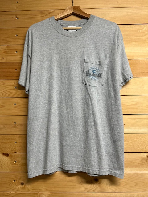 メンズヴィンテージ Tシャツ 【HARLEY DAVIDSON / Chicago】 グレー