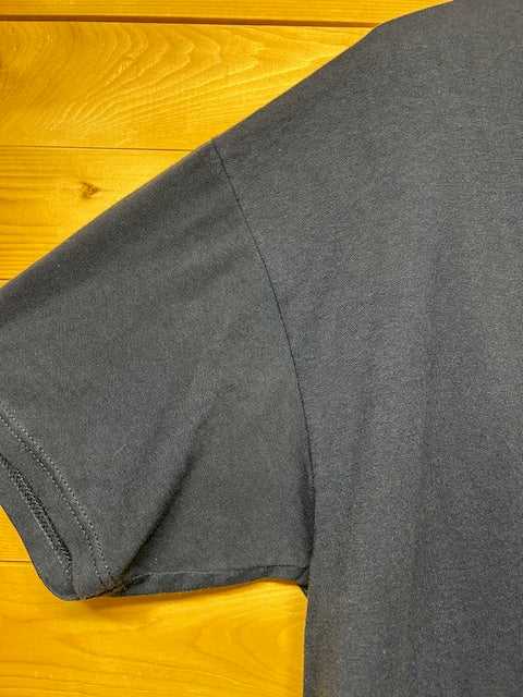 メンズヴィンテージ Tシャツ 【Hanes(へネズ)】 ブルー