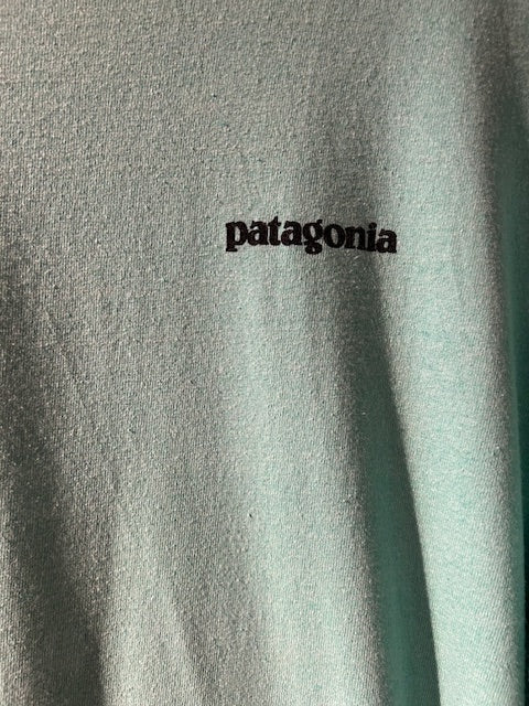 メンズヴィンテージ 長袖Tシャツ【Patagonia 】バックデザイン ブルー