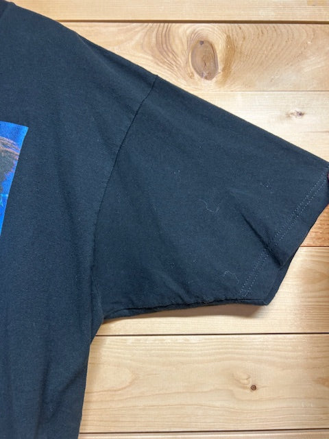 メンズヴィンテージ Tシャツ 【チャイルド・プレイ / チャッキー】ブラック