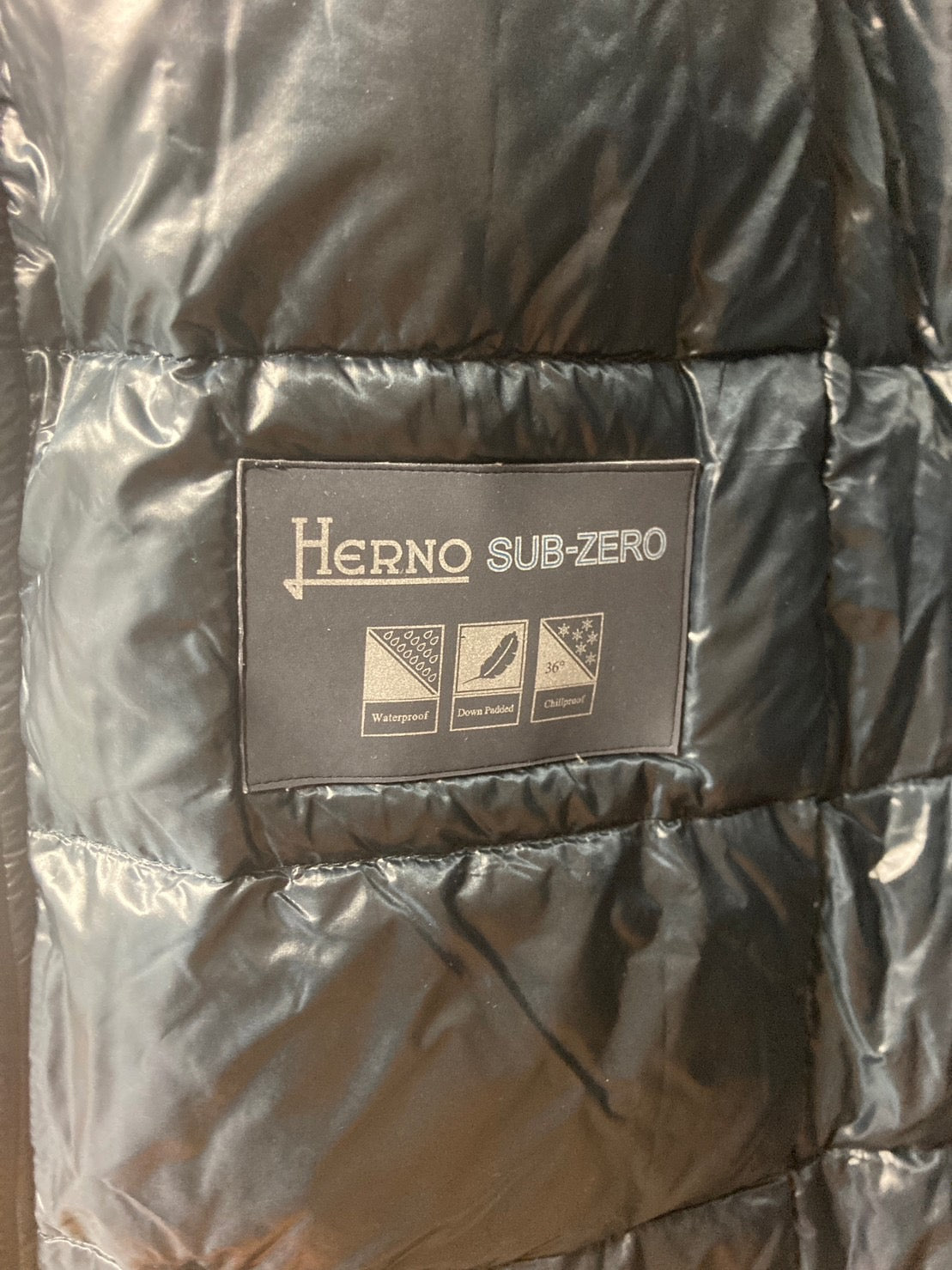 ヘルノ ダウンコート フード付き