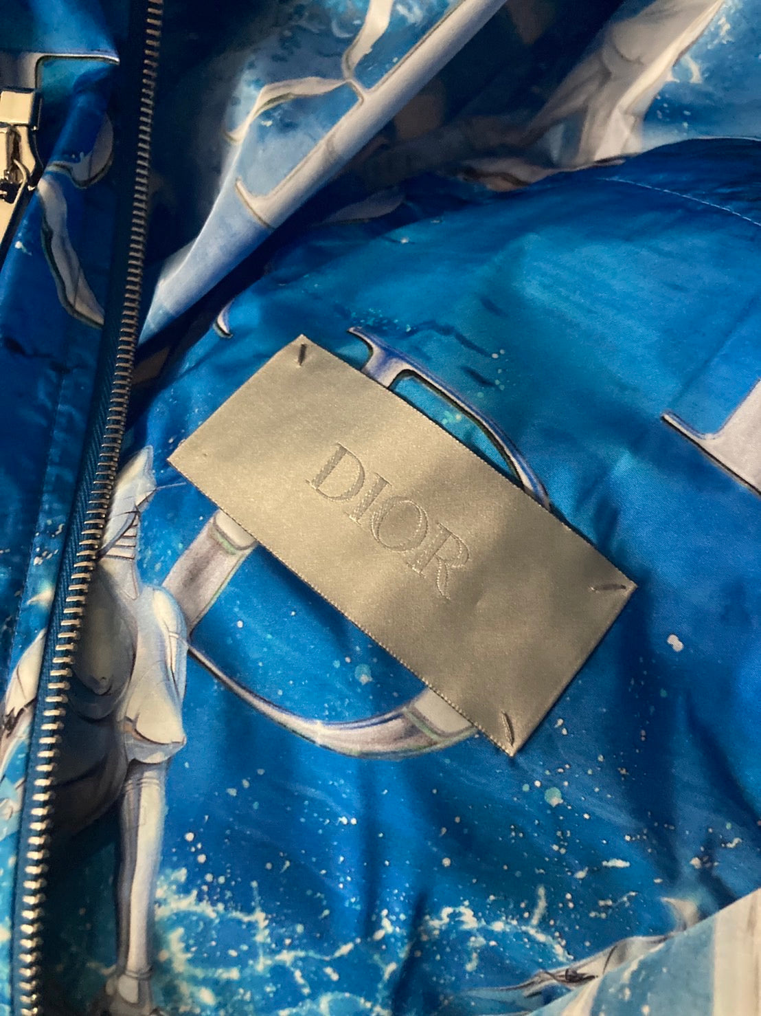 ディオールオム マウンテンパーカー 空山基コラボ