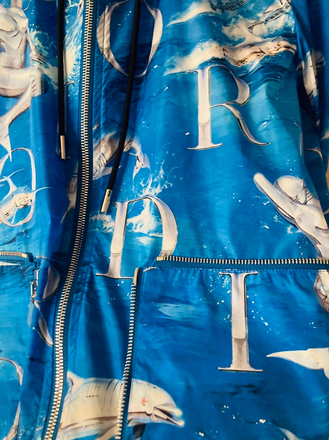 ディオールオム マウンテンパーカー 空山基コラボ