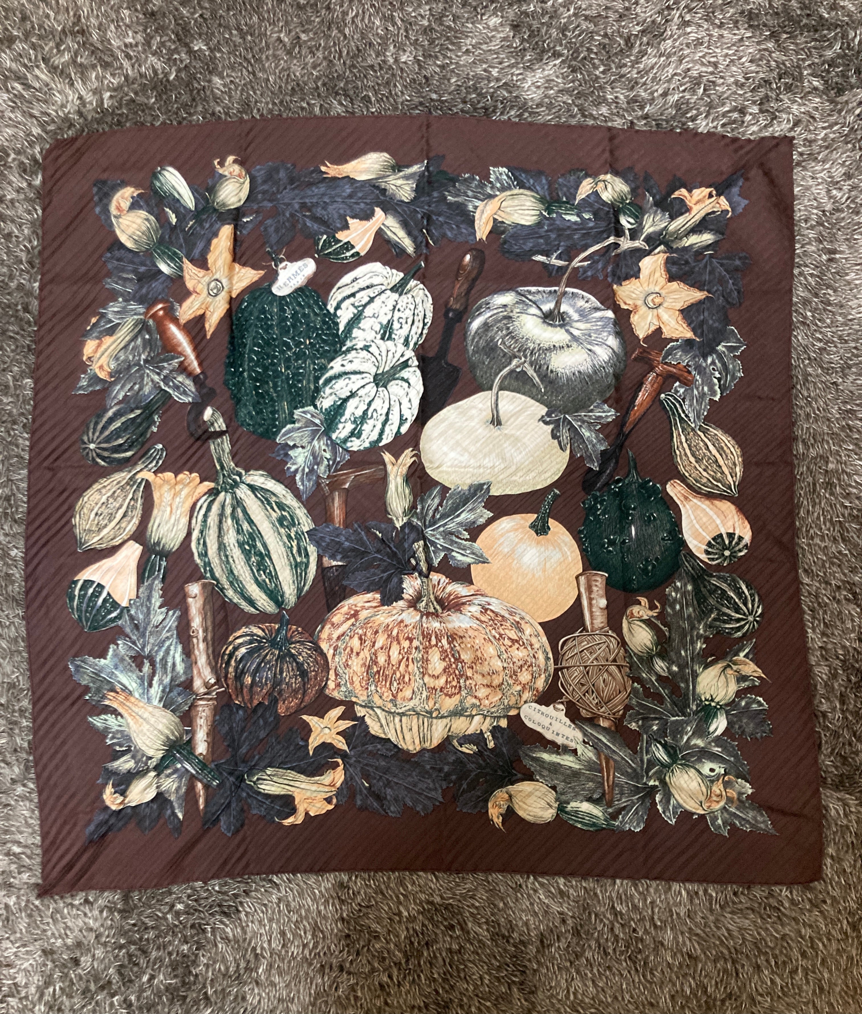 エルメス カレ90 スカーフ CITROUILLES&COLOQUINTES(かぼちゃとコロシント)