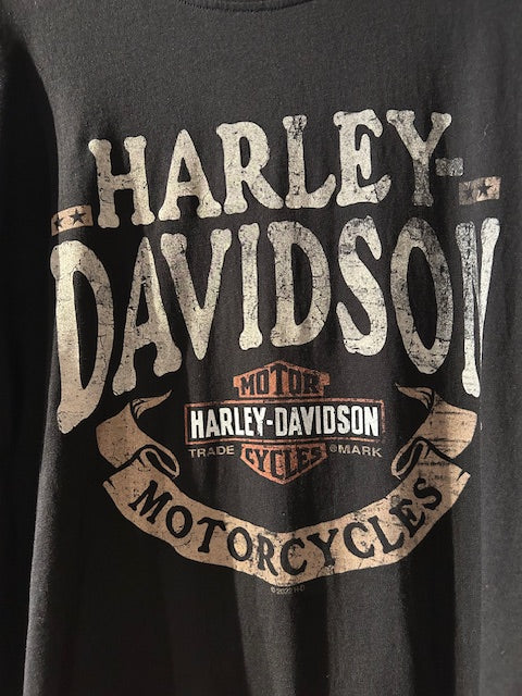 メンズヴィンテージ Tシャツ【HARLEY‐DAVIDSON】ロゴデザイン ブラック