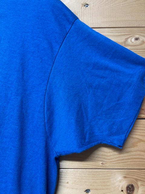 メンズヴィンテージ　Tシャツ　【SCREEN  STARS】 ブルー