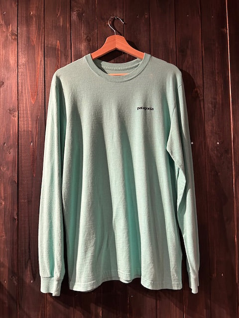 メンズヴィンテージ 長袖Tシャツ【Patagonia 】バックデザイン ブルー