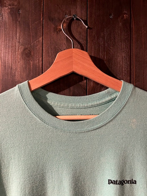 メンズヴィンテージ 長袖Tシャツ【Patagonia 】バックデザイン ブルー