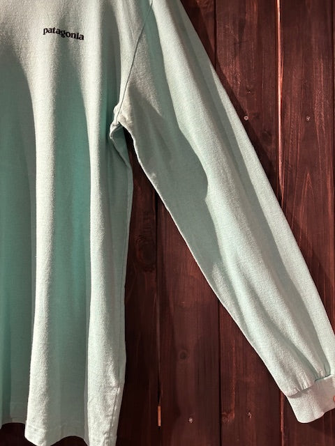 メンズヴィンテージ 長袖Tシャツ【Patagonia 】バックデザイン ブルー
