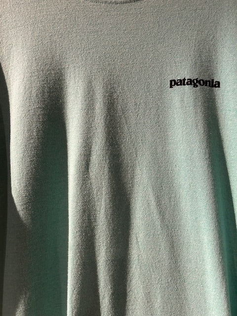 メンズヴィンテージ 長袖Tシャツ【Patagonia 】バックデザイン ブルー