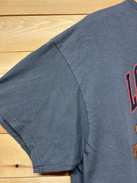 メンズヴィンテージ　Tシャツ　【Looney Tunes】グレー