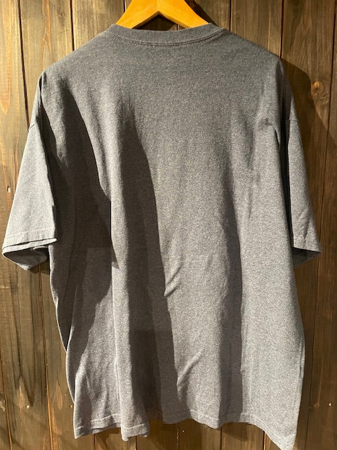 メンズヴィンテージ　Tシャツ 【Urban Pipeline / リス　グラフィックTシャツ】ブルー